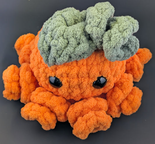 Small Pumpkin Octopus