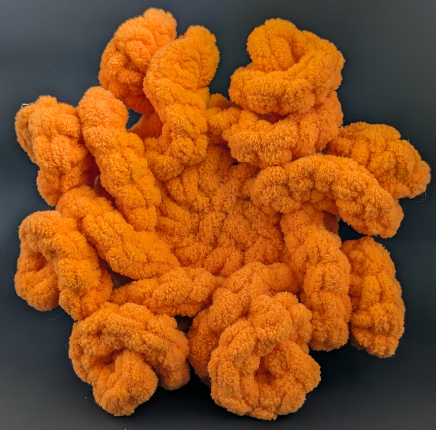 Small Pumpkin Octopus